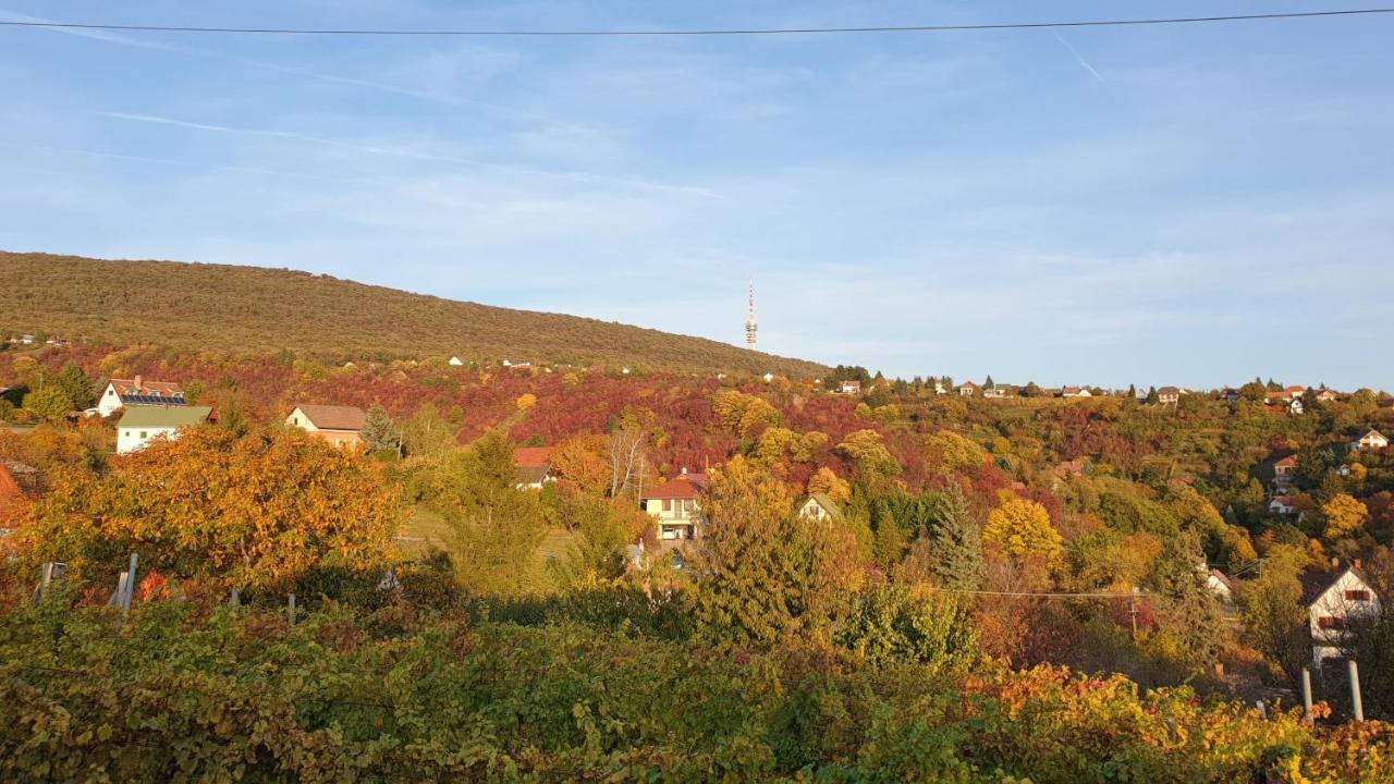 Hillside Cottage 페치 외부 사진